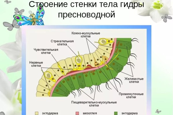 Ссылки зеркала на kraken