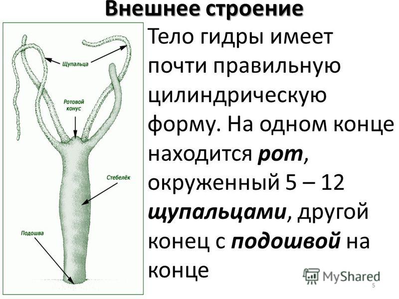 Площадка кракен kraken clear com